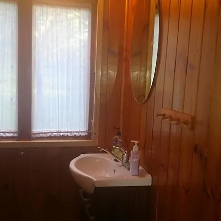 Letniskowy 山林小屋 *