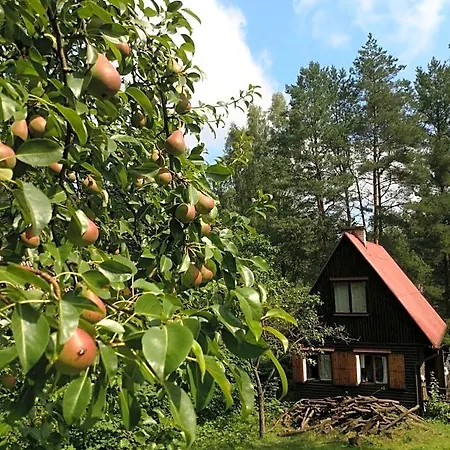 Letniskowy *