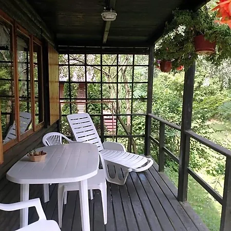 Letniskowy 山林小屋 *